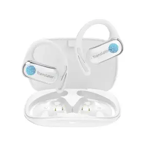 Voice Translation Earbuds